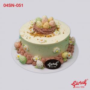 04SN-051