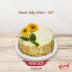 Bánh Bắp Mini - M7