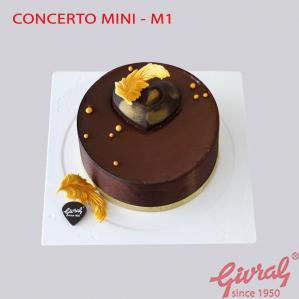 CONCERTO MINI - M1