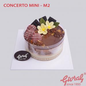 CONCERTO MINI - M2