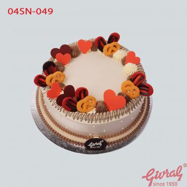04SN-049