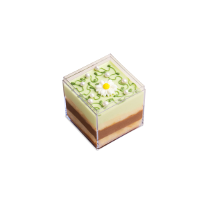 MINT CHOCOLATE HỘP - M1