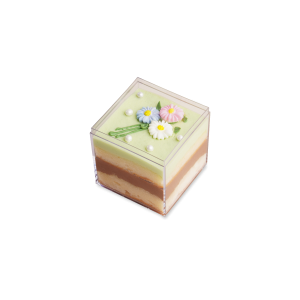 MINT CHOCOLATE HỘP - M2