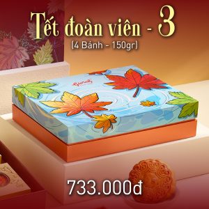 Tết Đoàn Viên 3